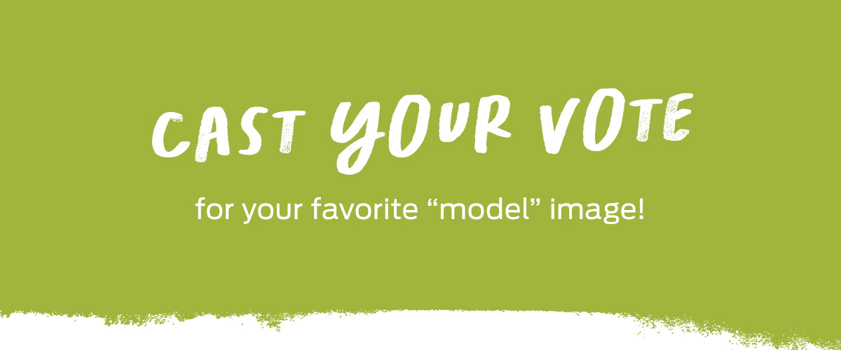 cast your vote for your favorite model image