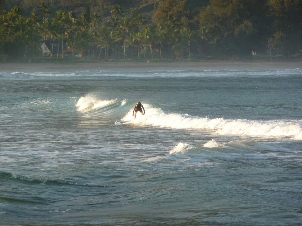 P1050919