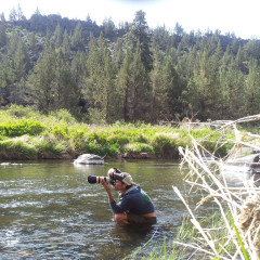 Martin in his natural environment: wherever is required to get the shot